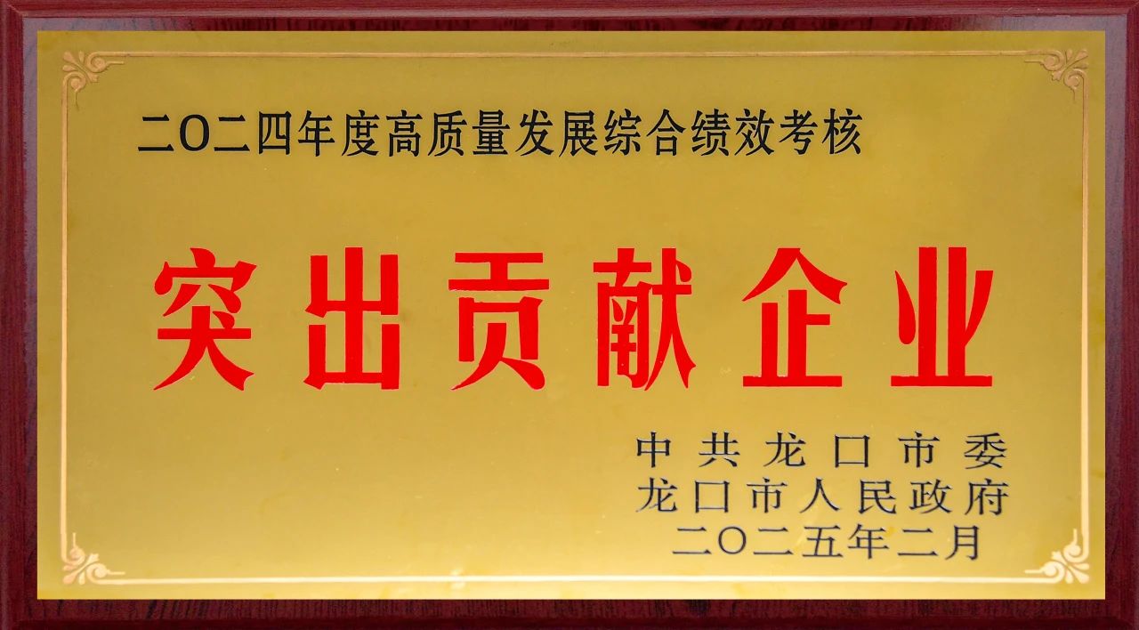 南(nan)山(shān)控股蟬聯(lian)“突出貢獻齊(qi)業”